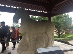 -茂陵博物馆