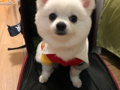 -多卡布奇宠物生活馆(上林世家店)