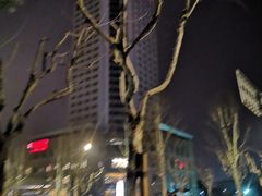 -上海浦东华美达大酒店