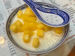 招牌双皮奶-双喜老铺(人民广场店)