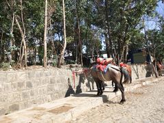 -天龙八部武侠城