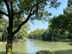 -西溪国家湿地公园