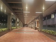 -香港大学