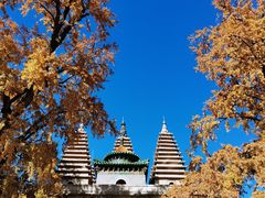 -北京石刻艺术博物馆(五塔寺)