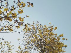 -露天矿生态公园