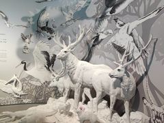 -中国湿地博物馆