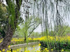 -南汇桃花村