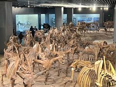 -大庆市博物馆