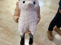 -LLJ夹机占(清河万象汇店)