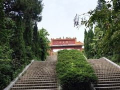 -三水森林公园