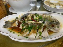 肉饼蒸鲈鱼-天元河田土鸡店(莲花山店)
