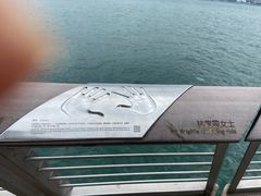 -星光大道
