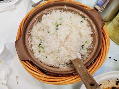 -饭怕鱼(阳光100店)