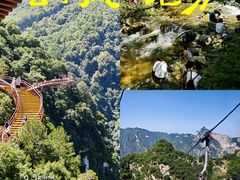 -少华山国家森林公园