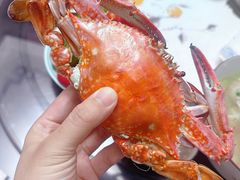 -天津金元宝滨海农产品交易市场(共发大道)