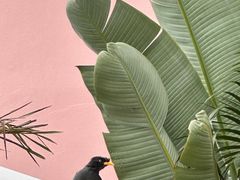 -新加坡文华东方酒店