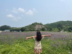 -紫海香堤香草艺术庄园