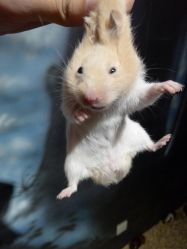 -酷嗒动物文化乐园(cutezoo西溪乐天城店)