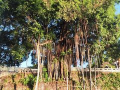 -船政文化景区-罗星塔公园