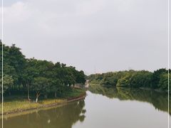 -海珠湖公园