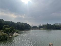 -美兰湖景区