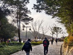 -普陀山风景区-佛顶山