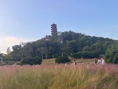 -红花山公园