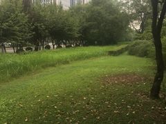 -唐城墙遗址公园