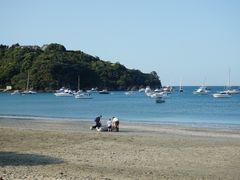 -怀希基岛