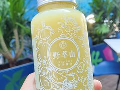 -野萃山·潮汕厚果汁(十亩地店)