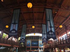 -巴黎迪士尼乐园