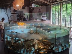-耕渔小院·湖南鱼鲜(望城店)