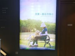 -关爱宠物医院·猫科中心·消化科(滨湖万达分院)