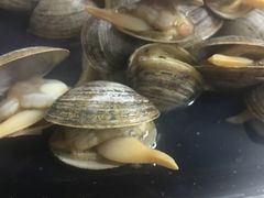 -虾宝贝胶东海鲜·渔家菜(小西天店)