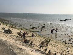 -北海金海湾红树林生态旅游区