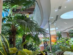 -吕氏疙瘩汤·海鲜新鲁菜(凯德mall新都心店)