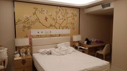 -广州安和泰医学月子会所