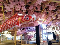 -凯德MALL(望京店)