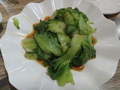 -东鸽皇(奥园·中环广场店)