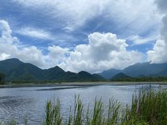 -大九湖