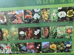 -中国科学院西双版纳热带植物园