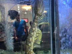 -凤城礼记鱼翅海鲜酒家(新马路总店)