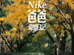 -汇龙潭
