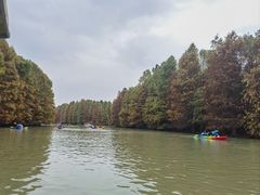 -上海海湾国家森林公园