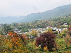 -塔川景区
