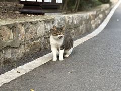 -云龙山