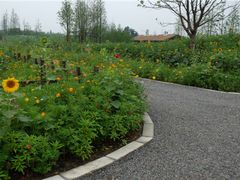 -田园东方蜜桃村的田野营地