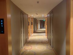 -上海浦东华美达大酒店