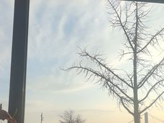 -天顺渔港·海景餐厅(星海广场店)