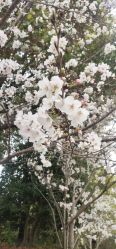 -她时区金吉兒月子中心(太湖度假店)